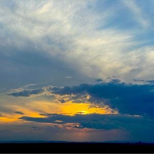 Meet your Posher, Ali